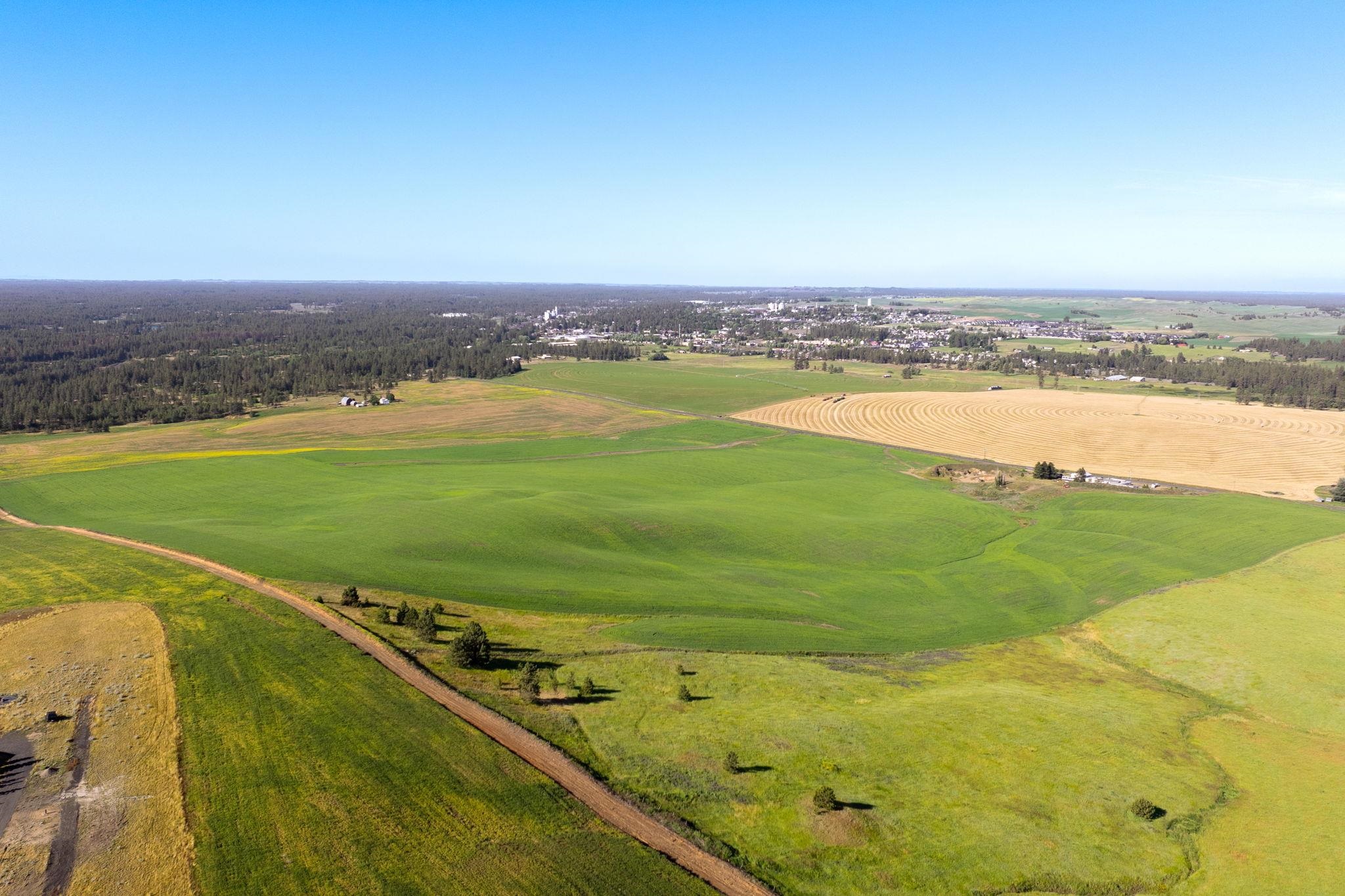 15275 South Andrus Road, Unit LOT #1 Cheney, WA 99004 - Photo 3 of 7