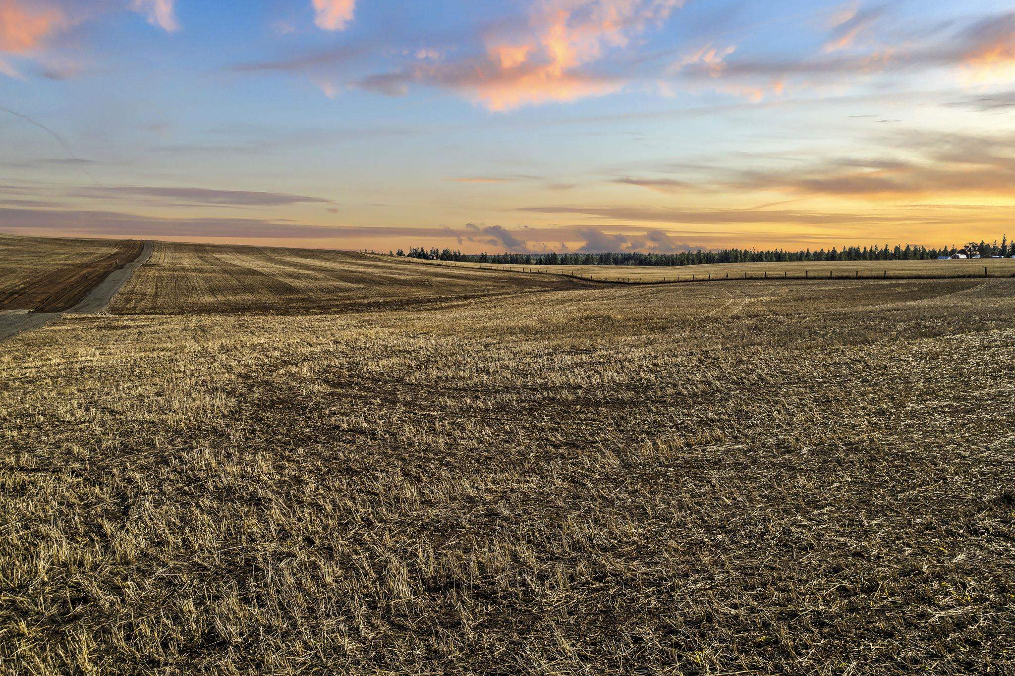 15275 South Andrus Road, Unit LOT #1 Cheney, WA 99004 - Photo 4 of 7