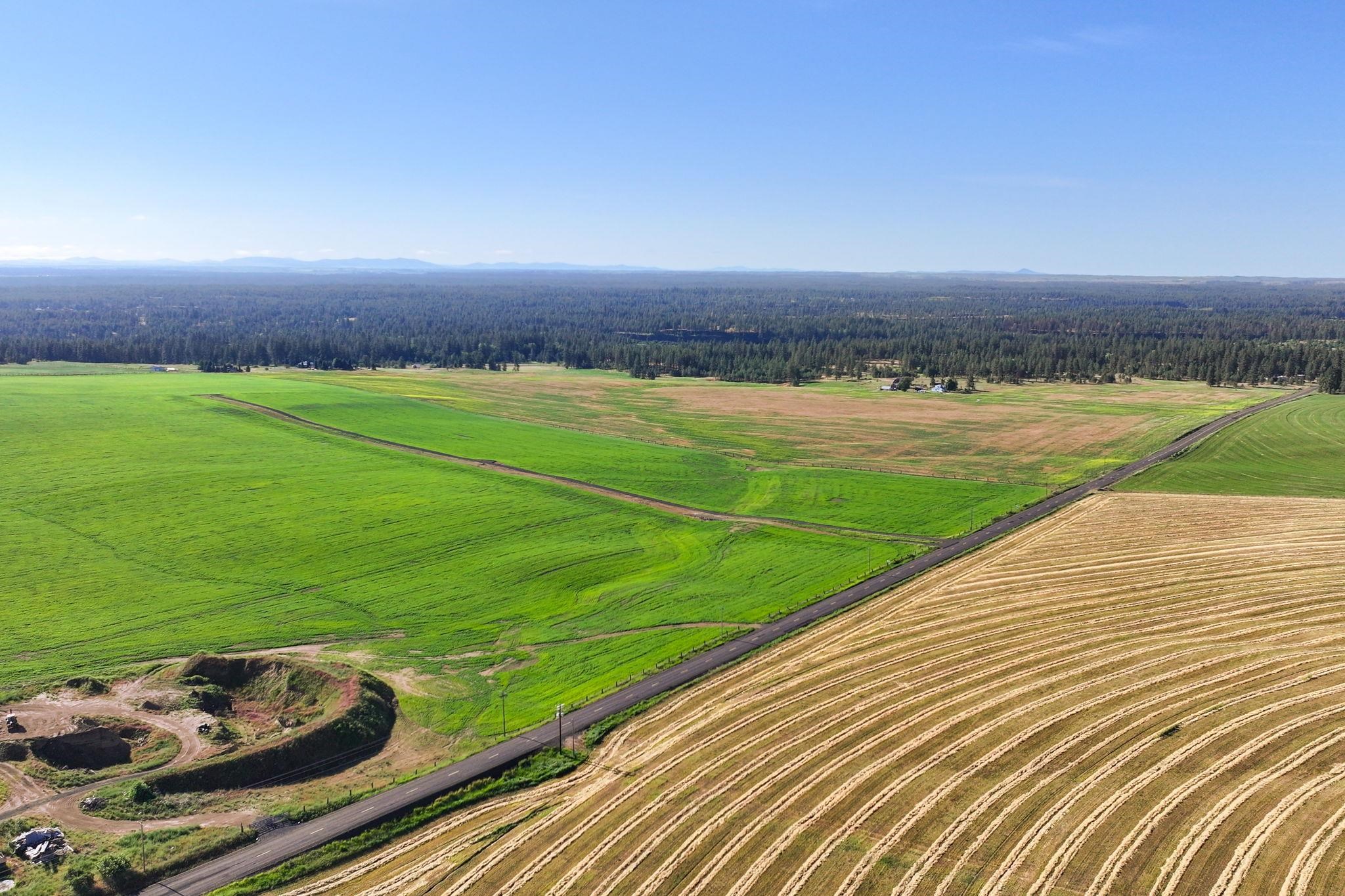 15275 South Andrus Road, Unit LOT #1 Cheney, WA 99004 - Photo 6 of 7