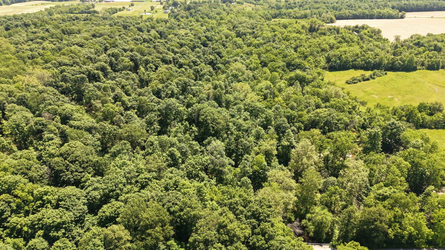 0 Co Road Versailles, IN 47042 - Photo 4 of 15