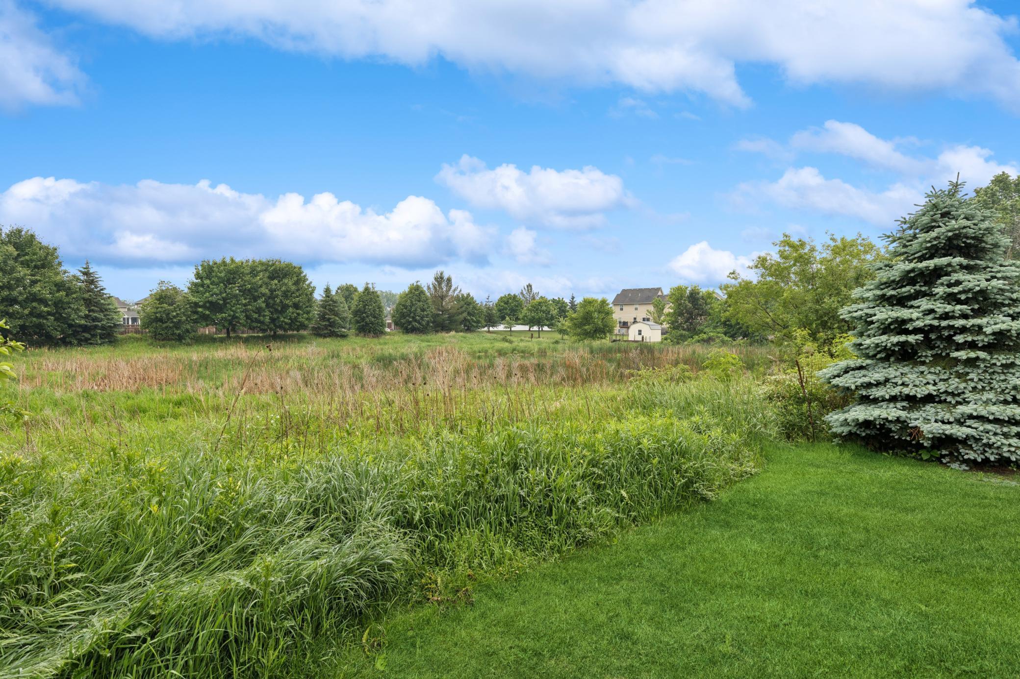 17623 Grist Court Southwest Prior Lake, MN 55372 - Photo 45 of 54