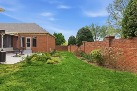 a view of a backyard with plants and a patio