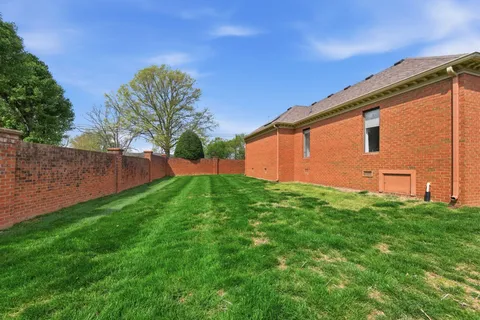 a backyard with plants and large tree