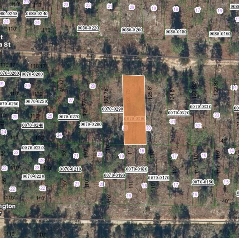 129 West Virginia Street Hawthorne, FL 32640 - Photo 1 of 5 a picture of city view