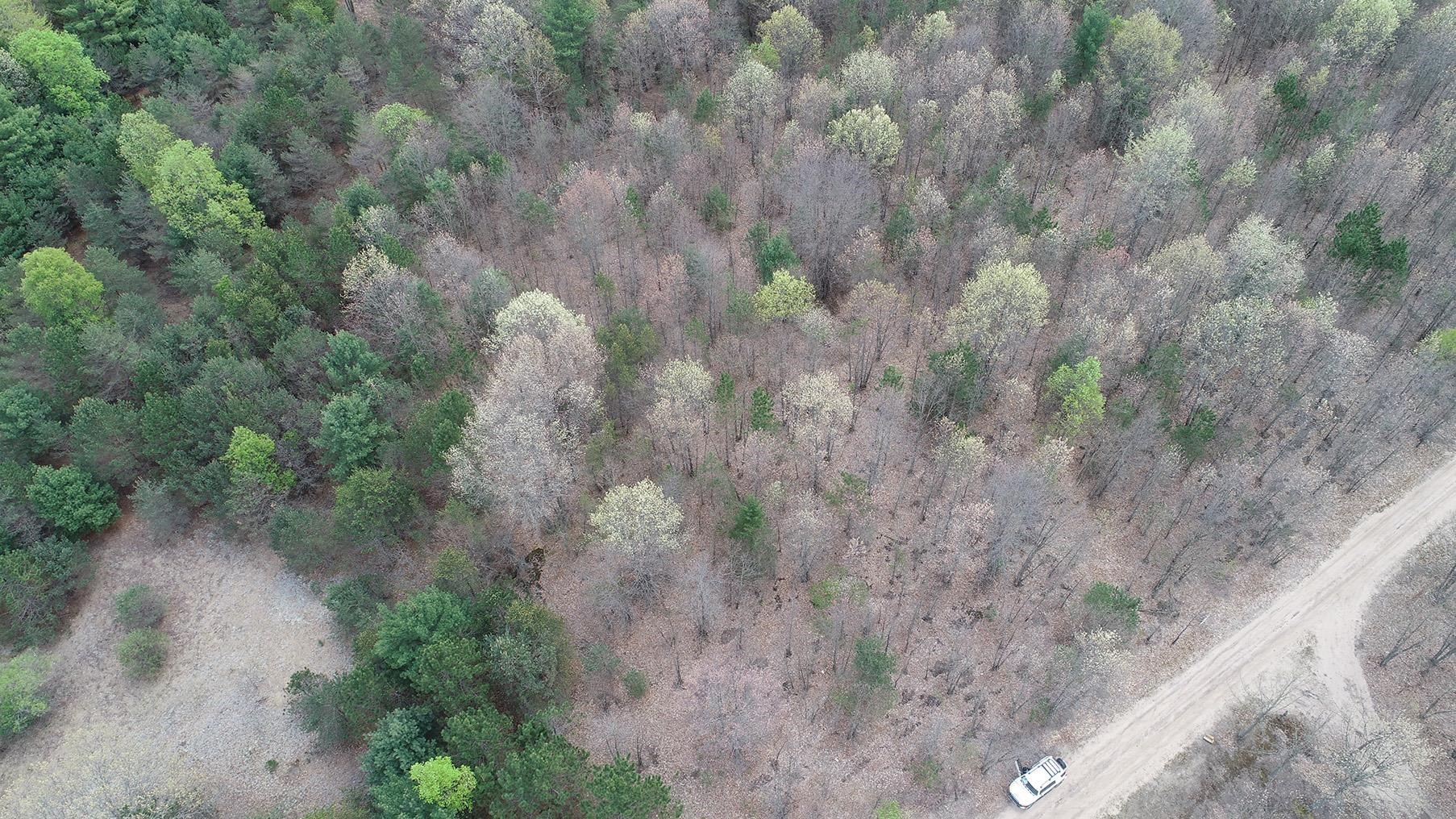 14 Mile Road Mesick, MI 49668 - Photo 1 of 5