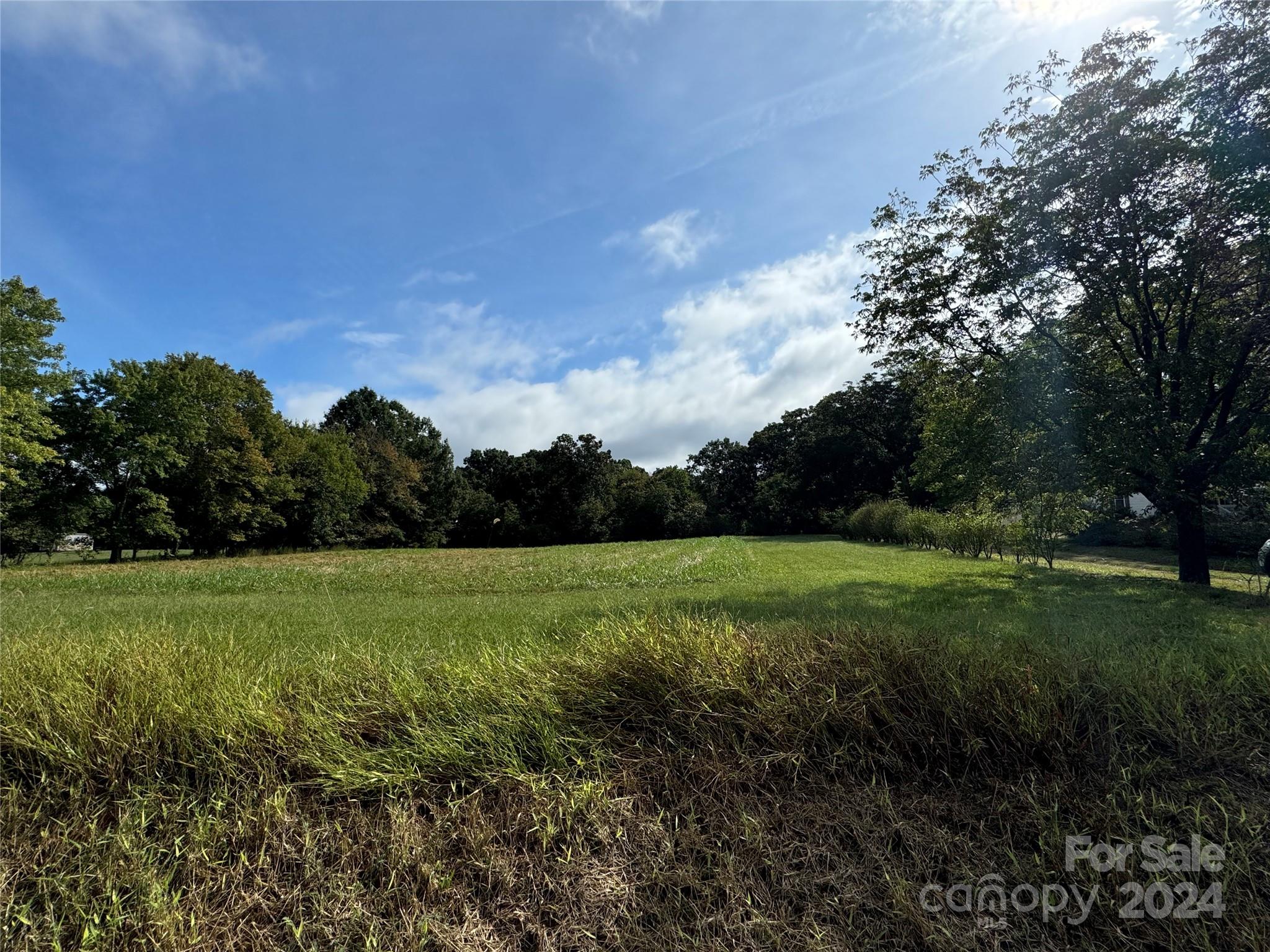 24502 St Martin Road, Unit 3741 Albemarle, NC 28001 - Photo 4 of 48 Gallery Image 4