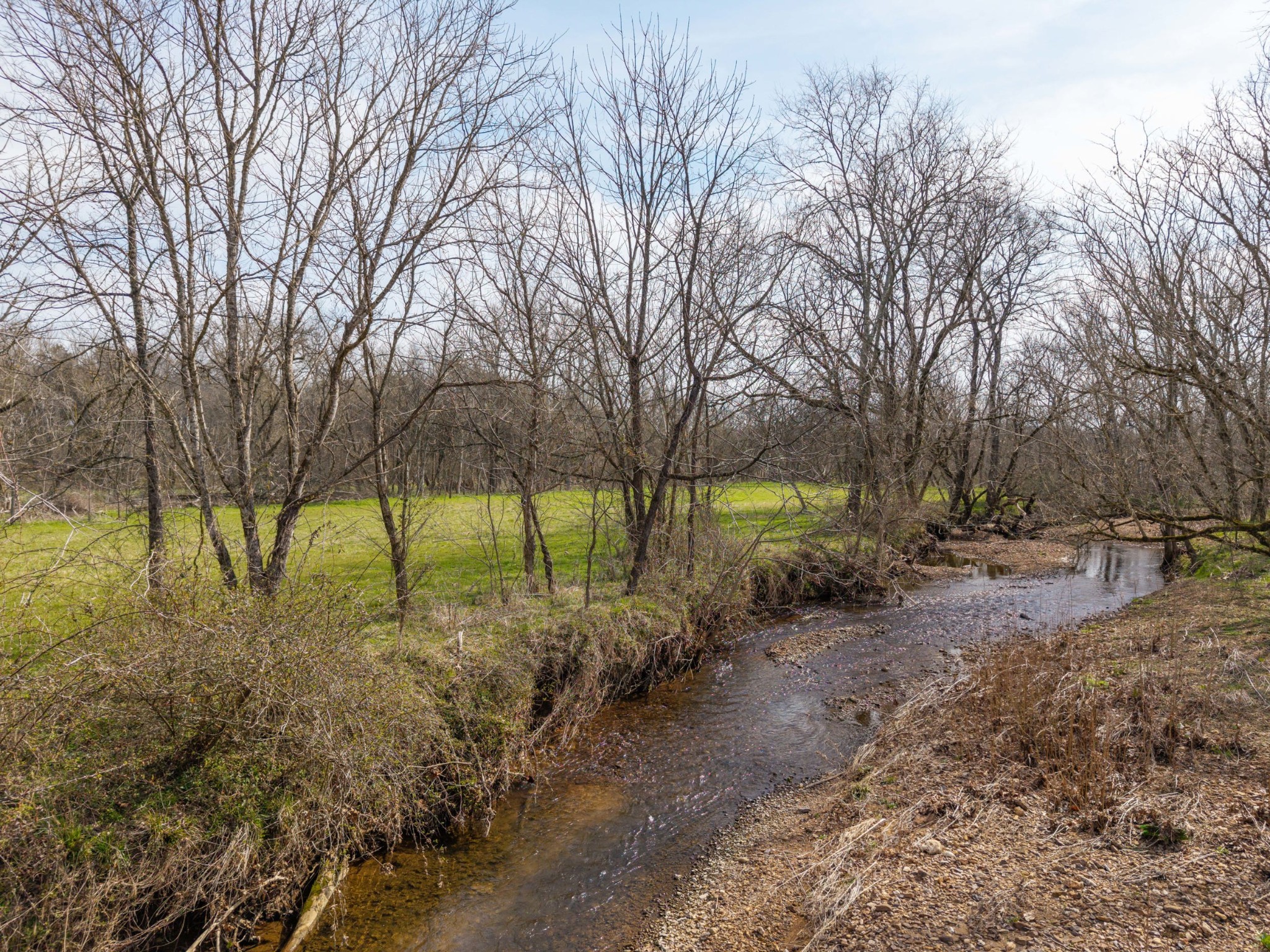 0 Coldwater Creek Road Taft, TN 38488 - Photo 11 of 14 a view of backyard with green space