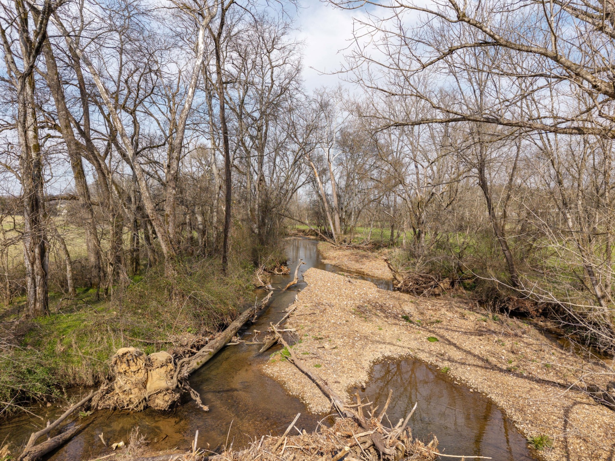 0 Coldwater Creek Road Taft, TN 38488 - Photo 12 of 14 a view of a yard with trees