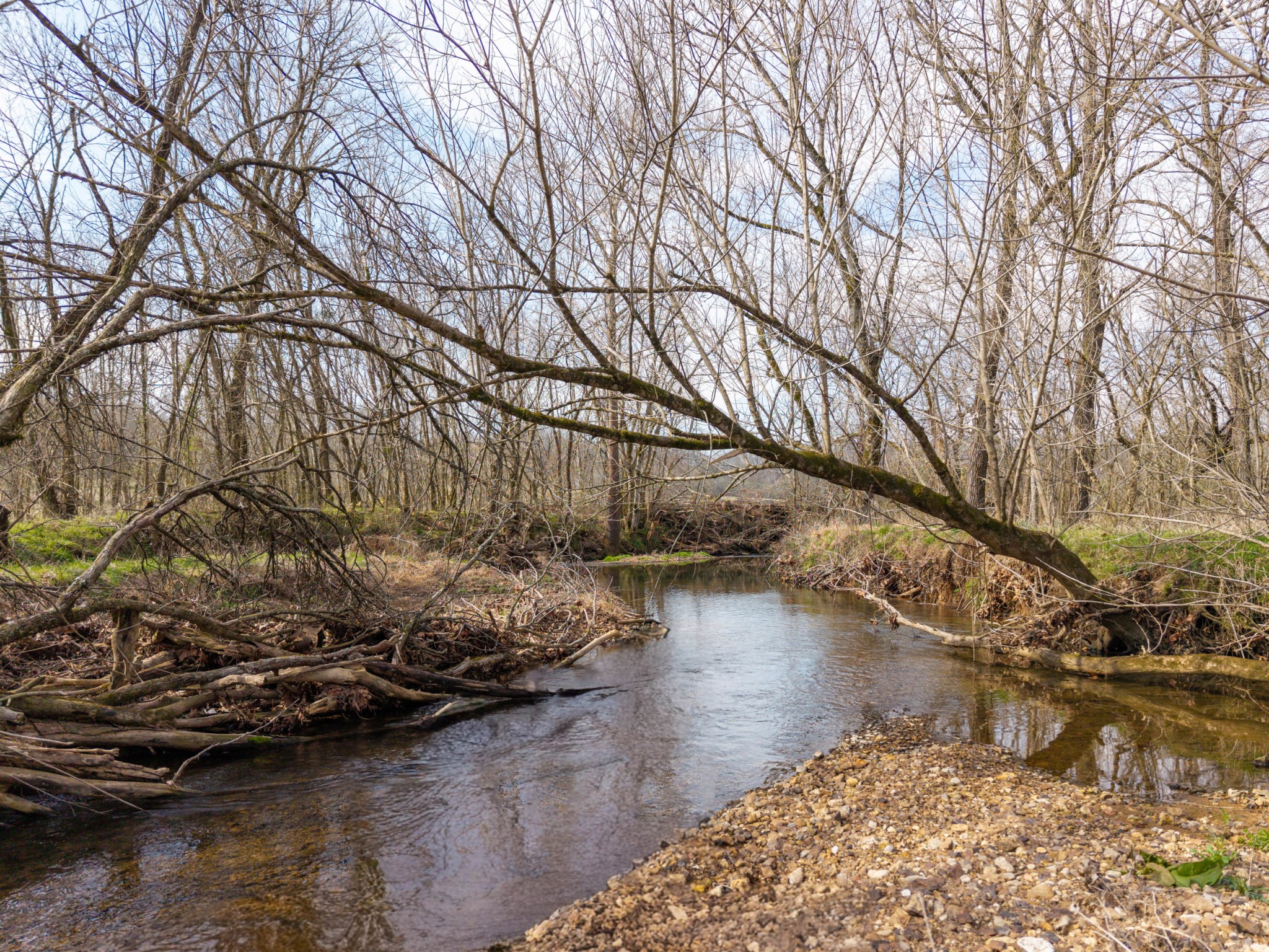 0 Coldwater Creek Road Taft, TN 38488 - Photo 14 of 14 a view of a lake with houses