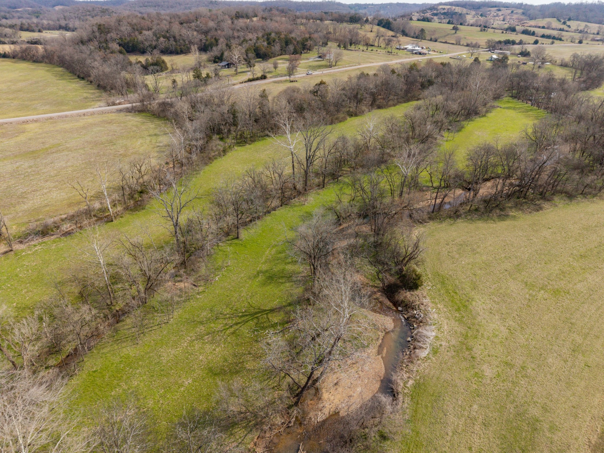0 Coldwater Creek Road Taft, TN 38488 - Photo 5 of 14