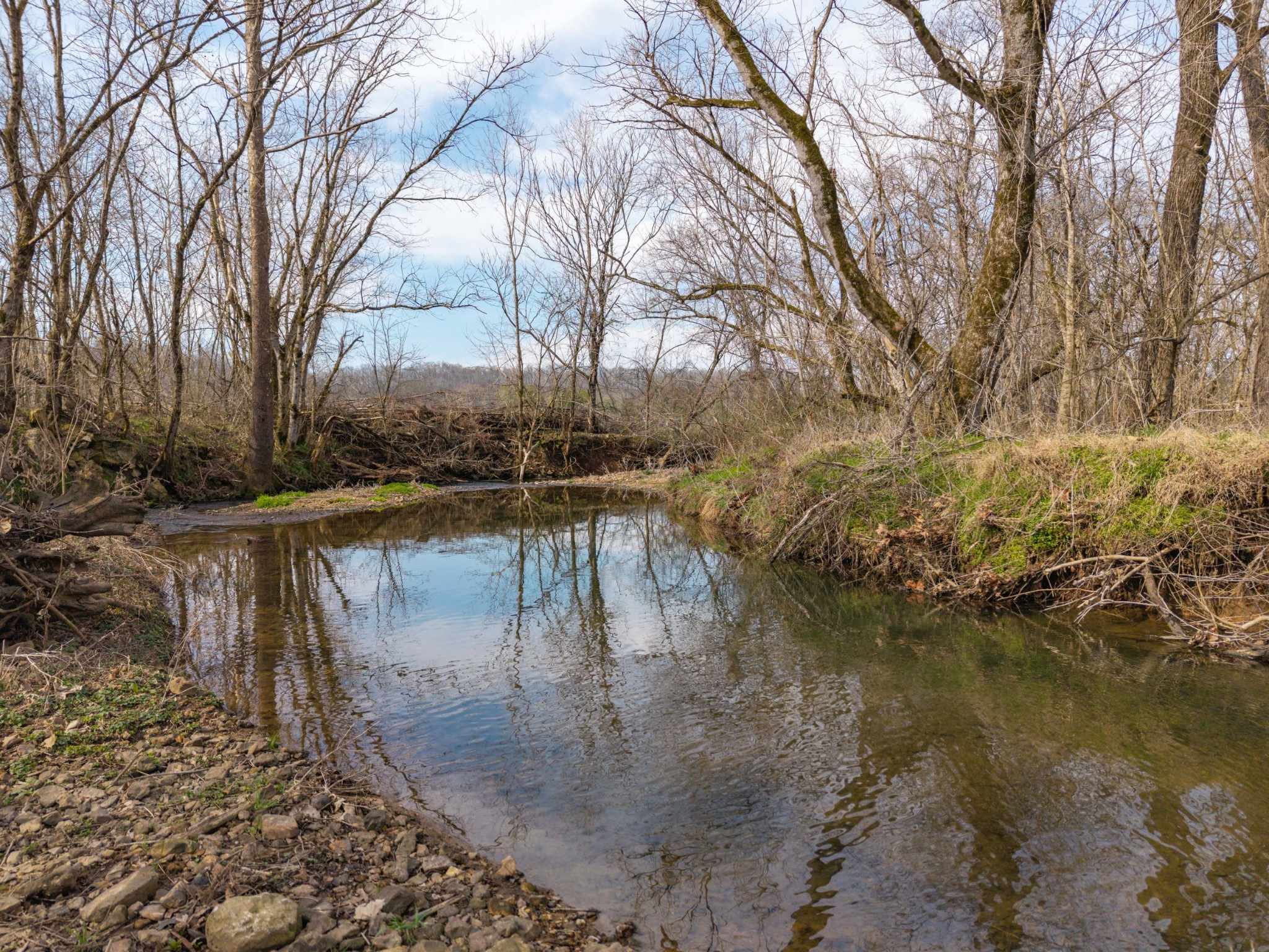0 Coldwater Creek Road Taft, TN 38488 - Photo 10 of 14 a view of a lake with a yard