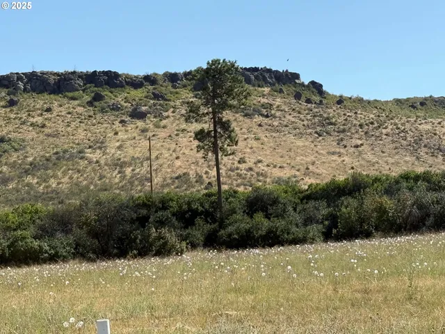 a view of a field with a mountain in the background