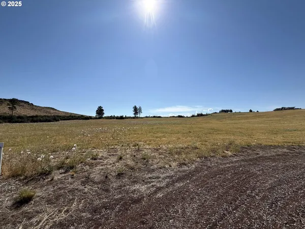 a open area with mountains in the background