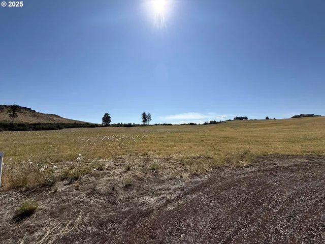 a open area with mountains in the background
