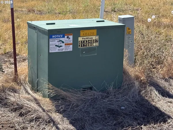 a view of a house with a tree