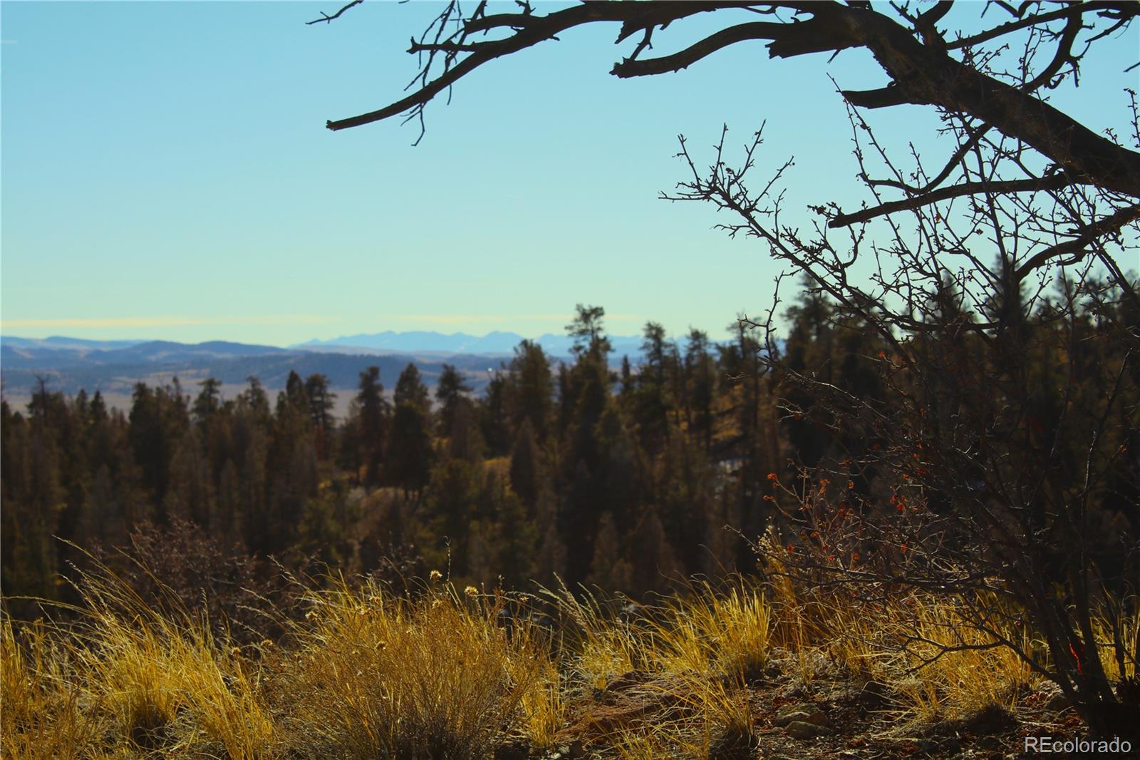 3632 Clear Creek Road Hartsel, CO 80449 - Photo 4 of 6 a view of a lake in a forest