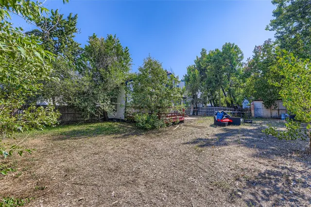 a view of a park with large trees