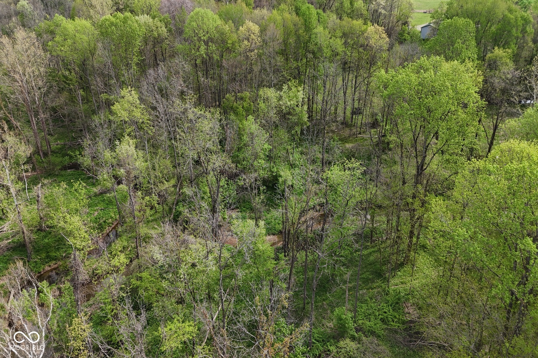 Tbd Awbrey West Road Cloverdale, IN 47456 - Photo 13 of 29