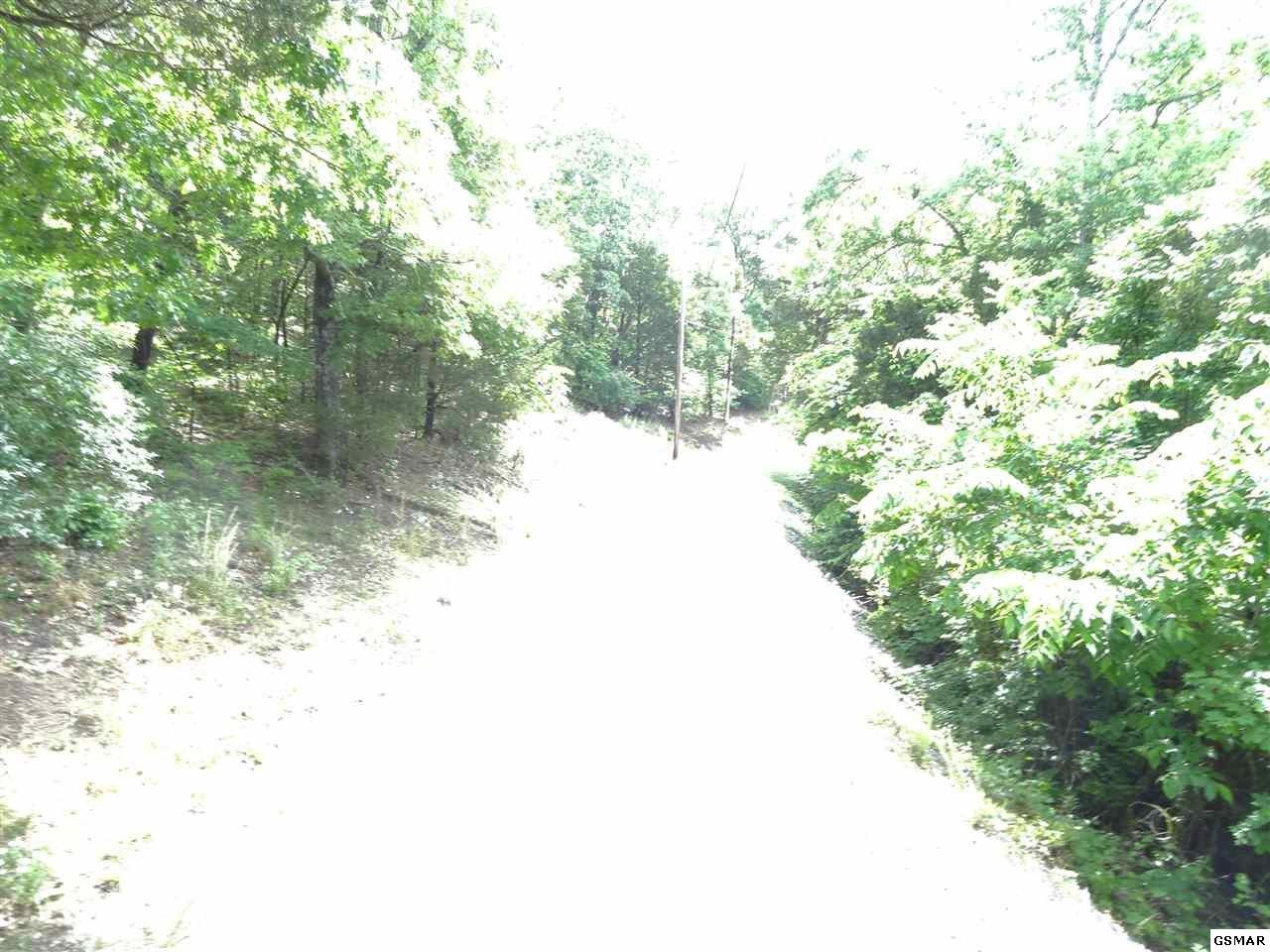 0 Kerr Road Sevierville, TN 37876 - Photo 7 of 11