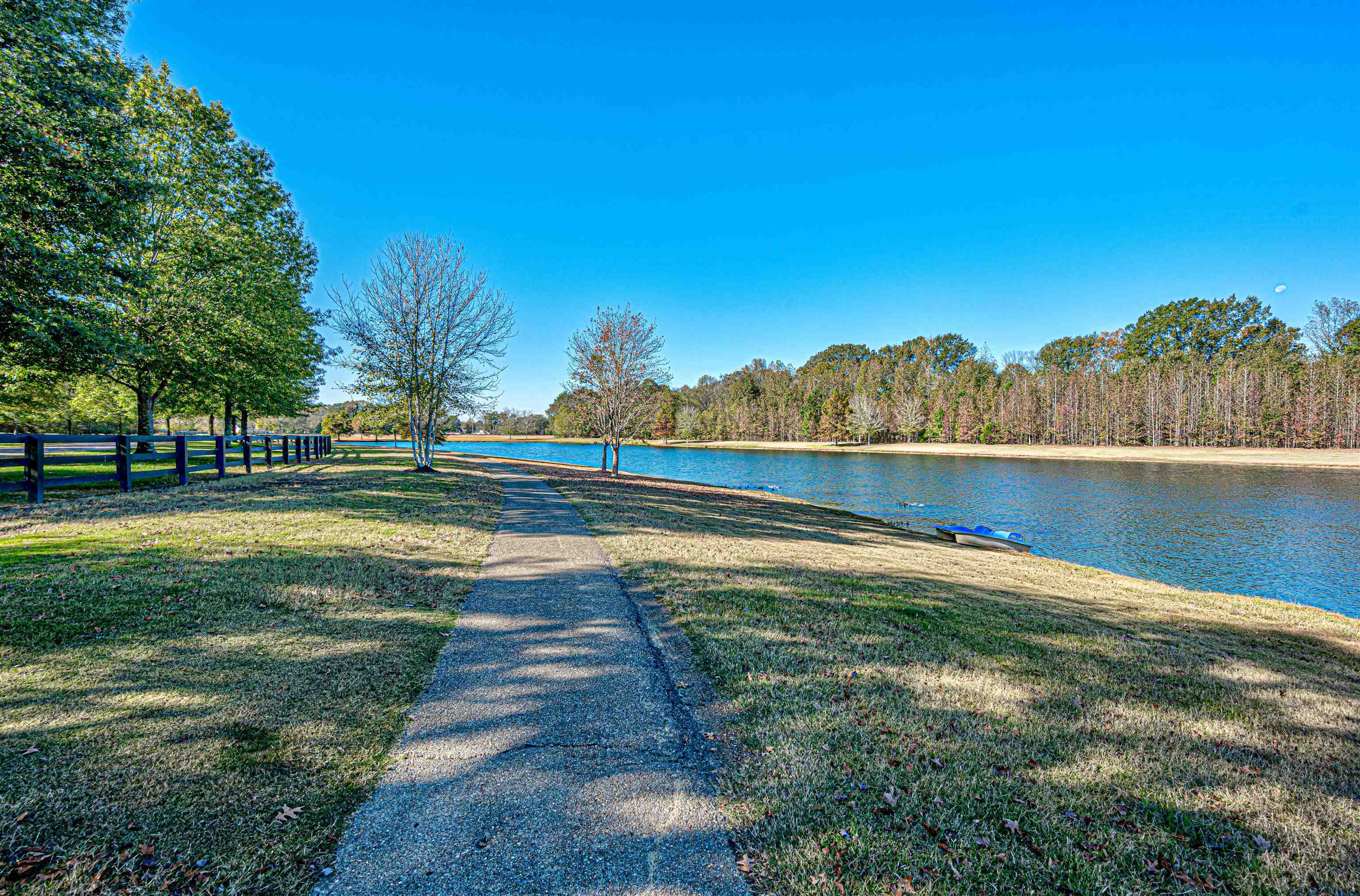 12668 Bravo Road Collierville, TN 38017 - Photo 11 of 11 a view of pool and trees in the background