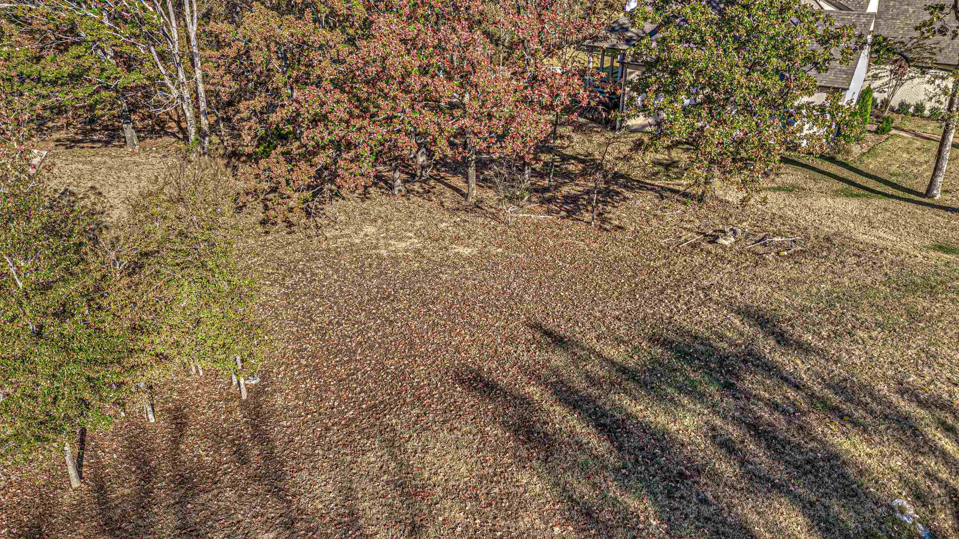 12668 Bravo Road Collierville, TN 38017 - Photo 2 of 11 a view of a yard