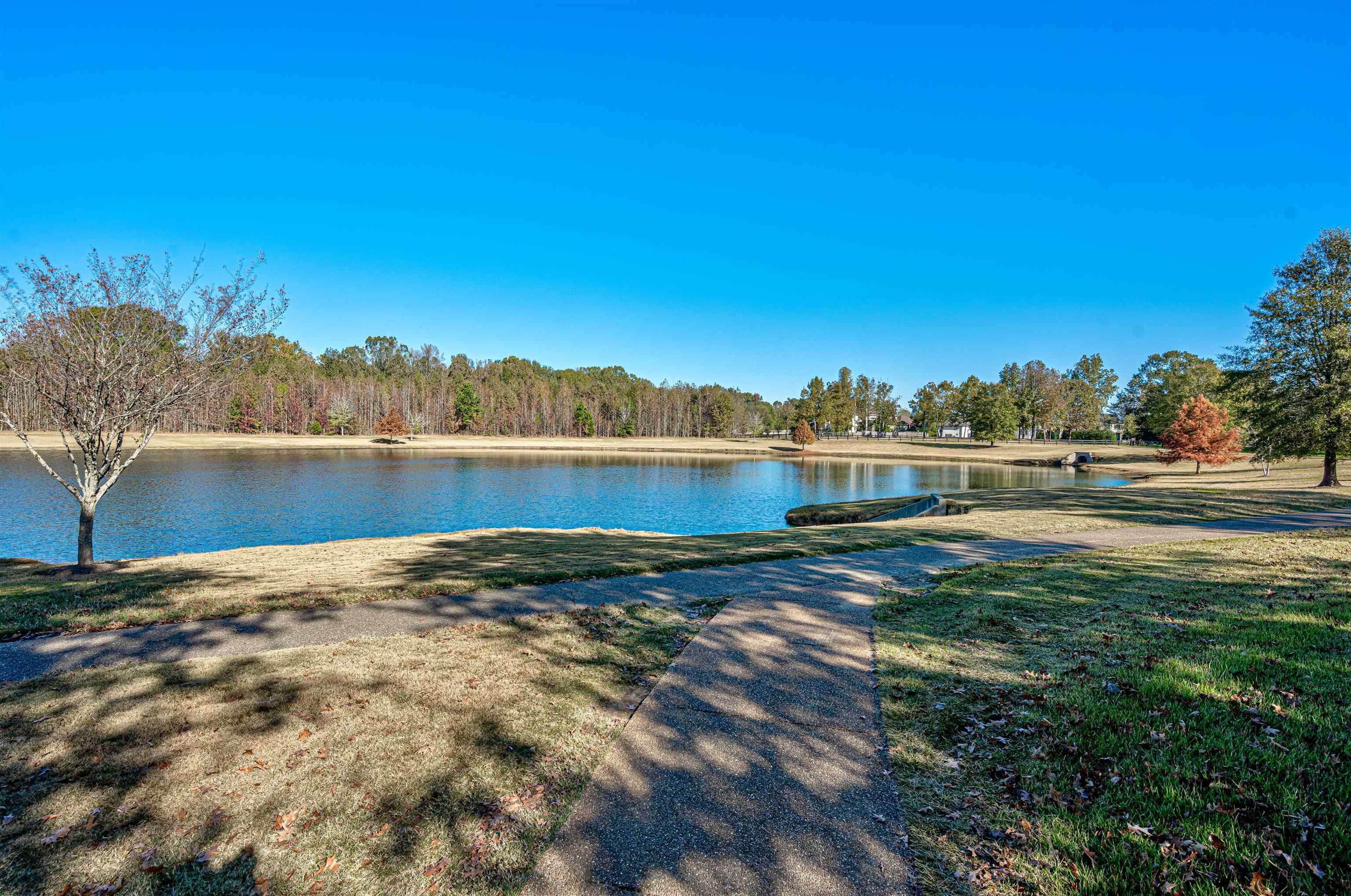 12668 Bravo Road Collierville, TN 38017 - Photo 3 of 11 a view of a lake with houses in the background
