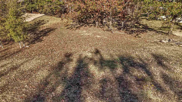 a view of a yard of a house