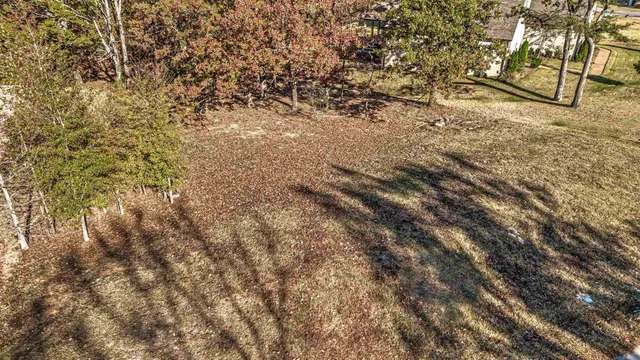 a view of a yard with trees