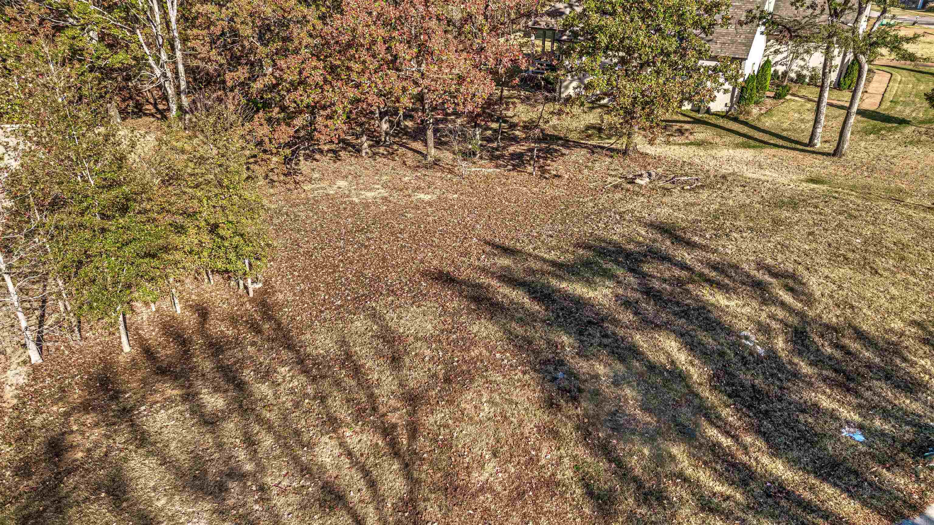 12668 Bravo Road Collierville, TN 38017 - Photo 8 of 11 a view of a yard with trees