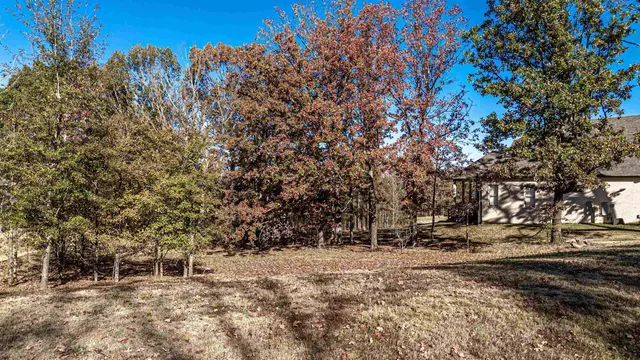 a view of outdoor space with lots of trees