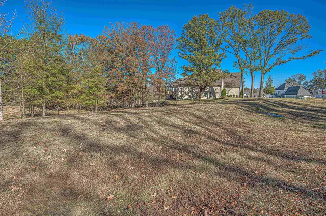 a view of a backyard with large trees