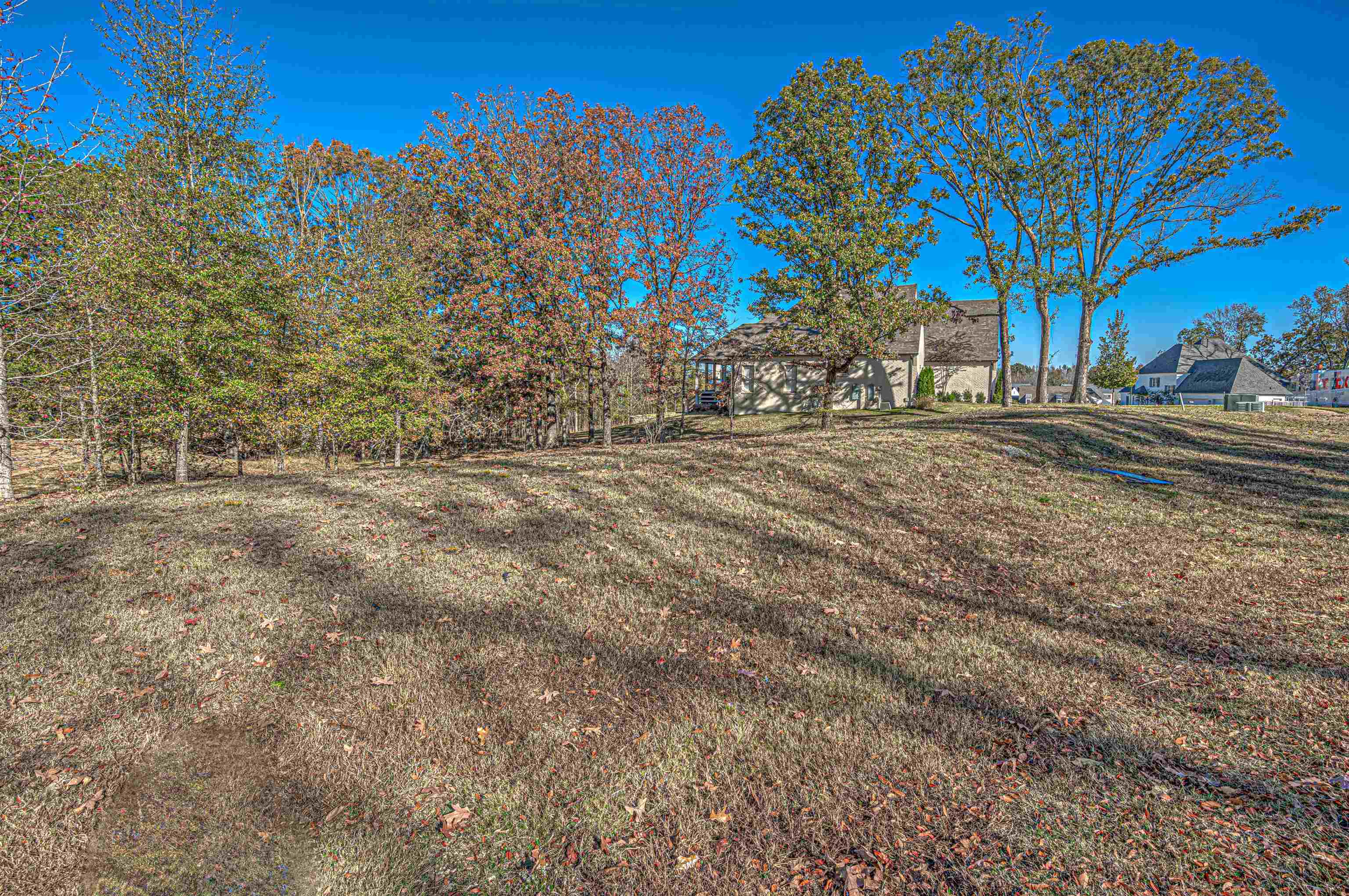 12668 Bravo Road Collierville, TN 38017 - Photo 10 of 11 a view of a backyard with large trees