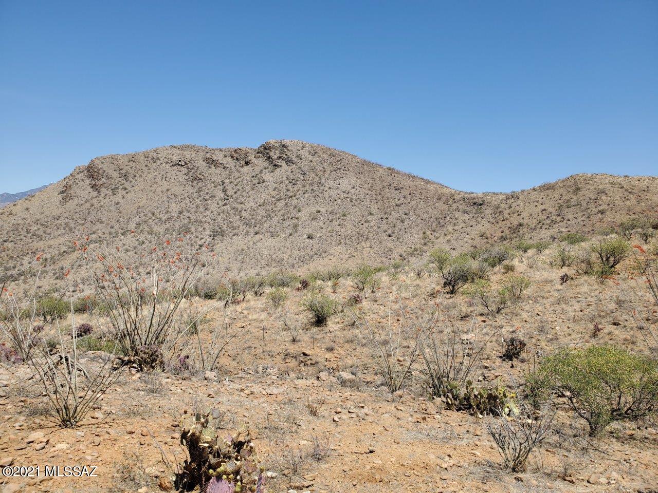 1695 Vía San Cayetano, Unit 7 Rio Rico, AZ 85648 - Photo 32 of 36