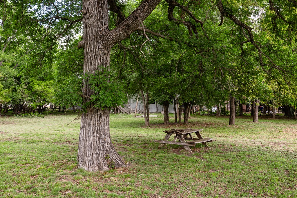 659 Town Creek Road Kerrville, TX 78028 - Photo 59 of 65 a view of a park with a tree