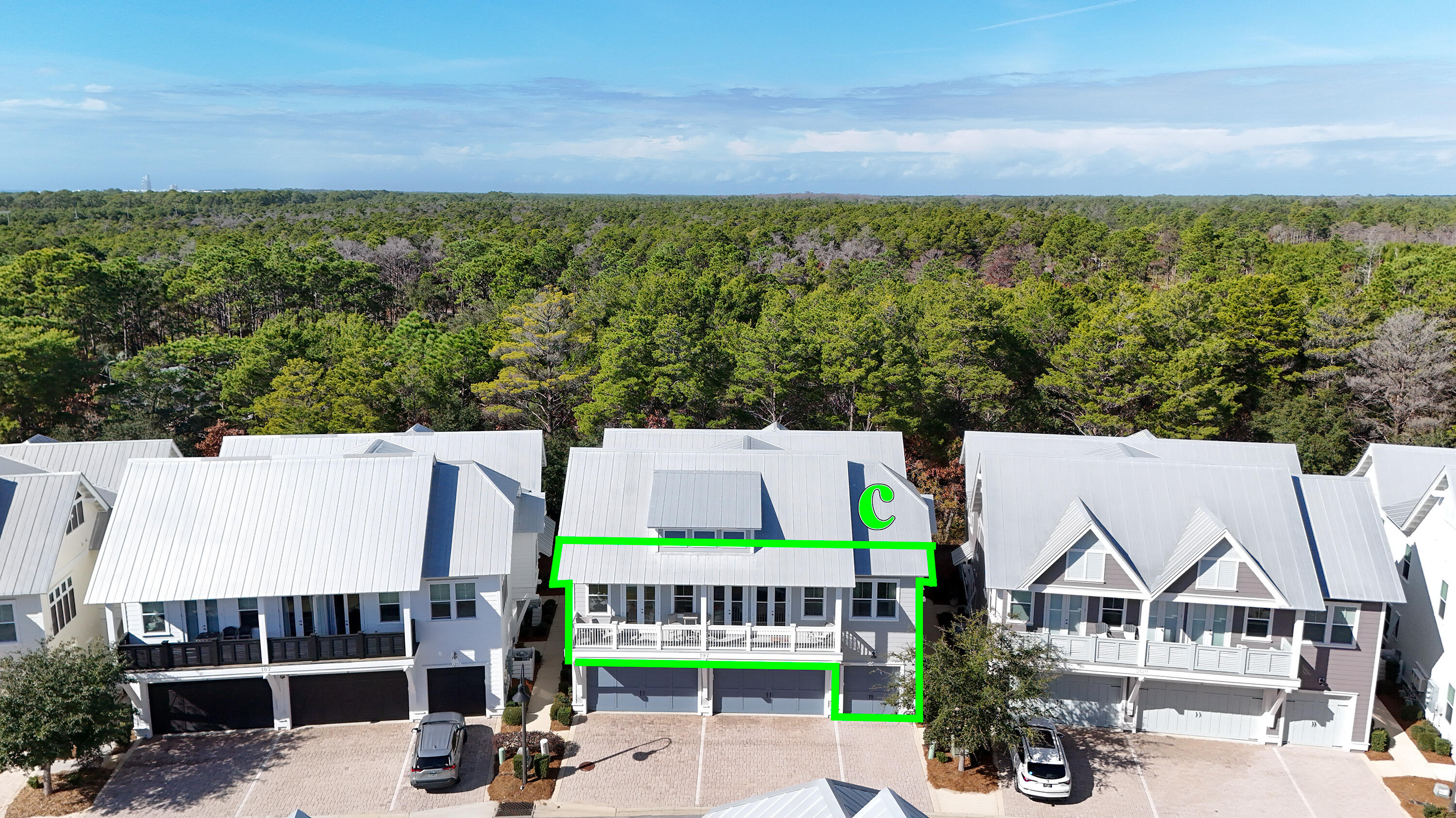 197 Milestone Drive, Unit C Inlet Beach, FL 32461 - Photo 57 of 72 DJI_20260110121006_0009_D