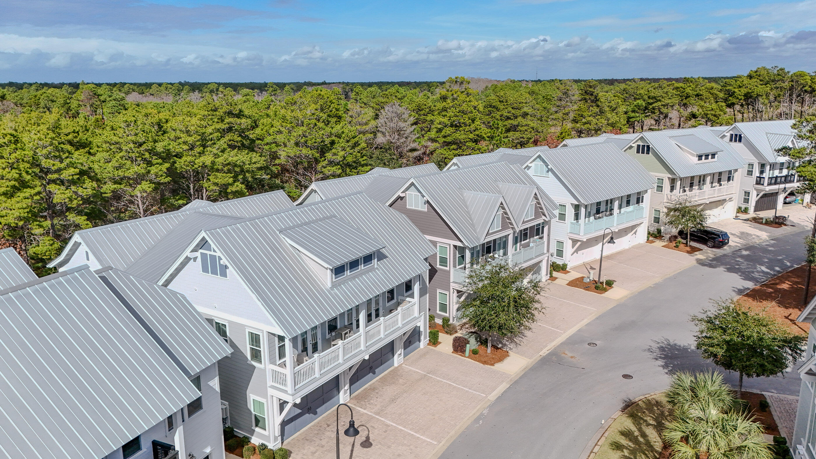 197 Milestone Drive, Unit C Inlet Beach, FL 32461 - Photo 58 of 72 an aerial view of a house with a yard