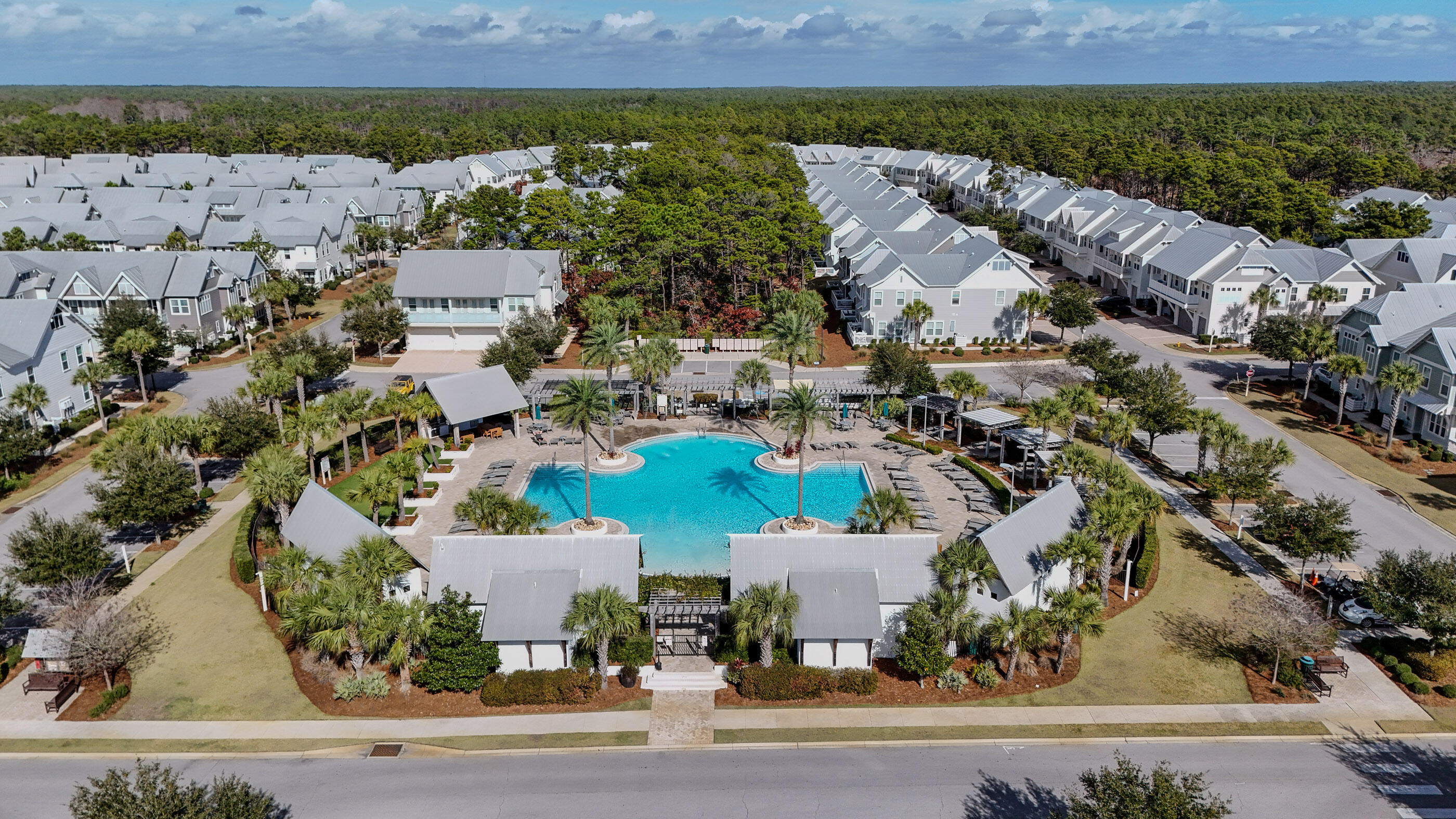197 Milestone Drive, Unit C Inlet Beach, FL 32461 - Photo 70 of 72 an aerial view of a house with a yard and lake view