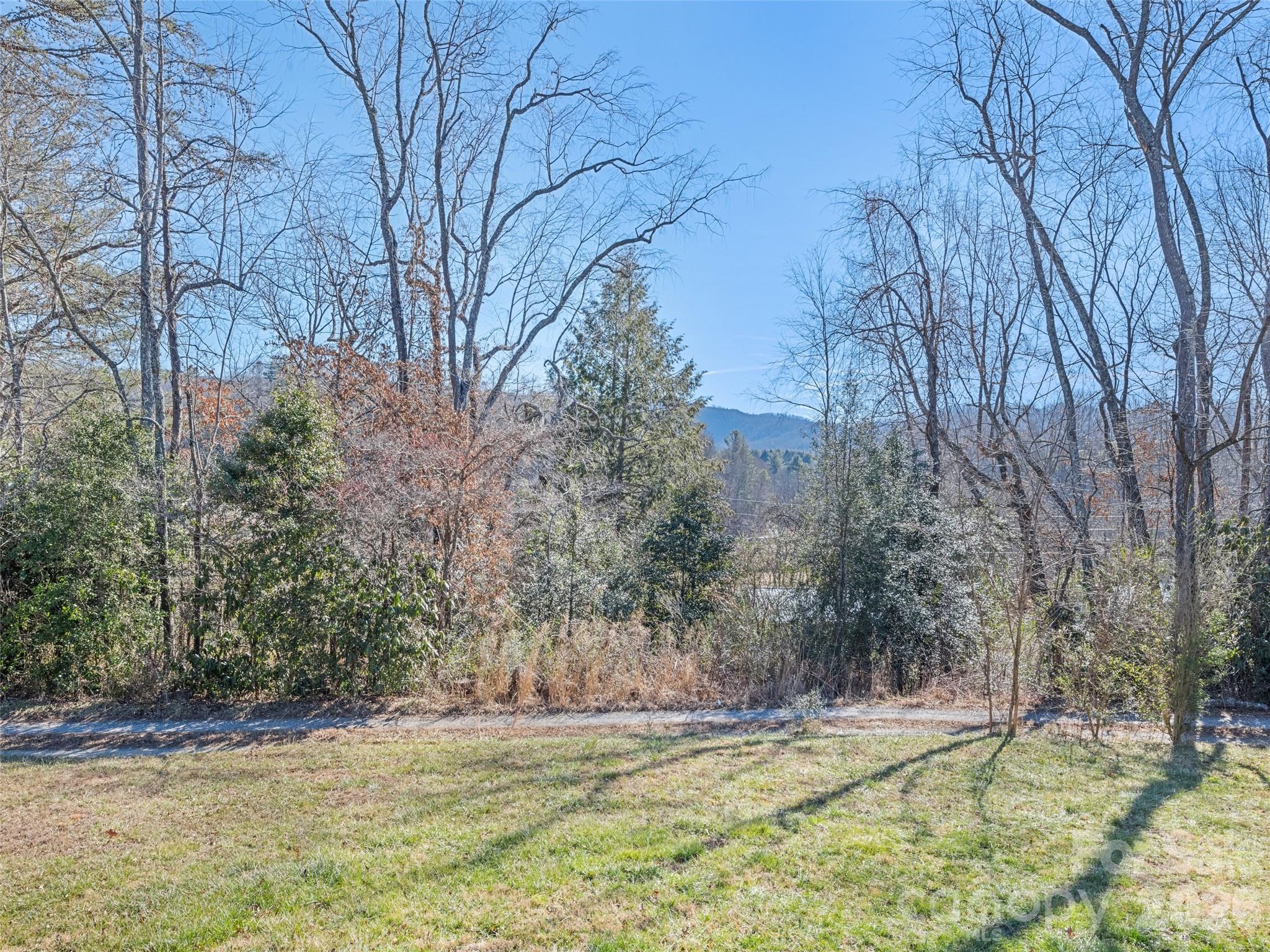 10 Enochs Way Fletcher, NC 28732 - Photo 5 of 24 a view of a backyard