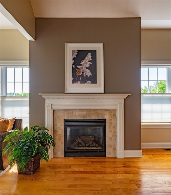 20 Bridge Road, Unit 8 Northampton, MA 01062 - Photo 8 of 32 a living room with a fireplace a potted plant and a fireplace