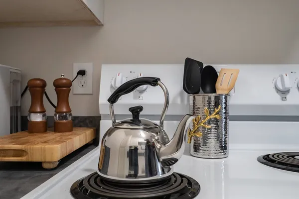 a living room with furniture and a rug