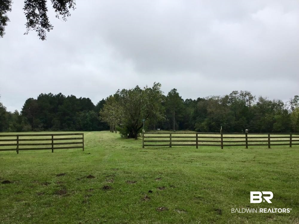 0 Country Road Axis, AL 36505 - Photo 10 of 42