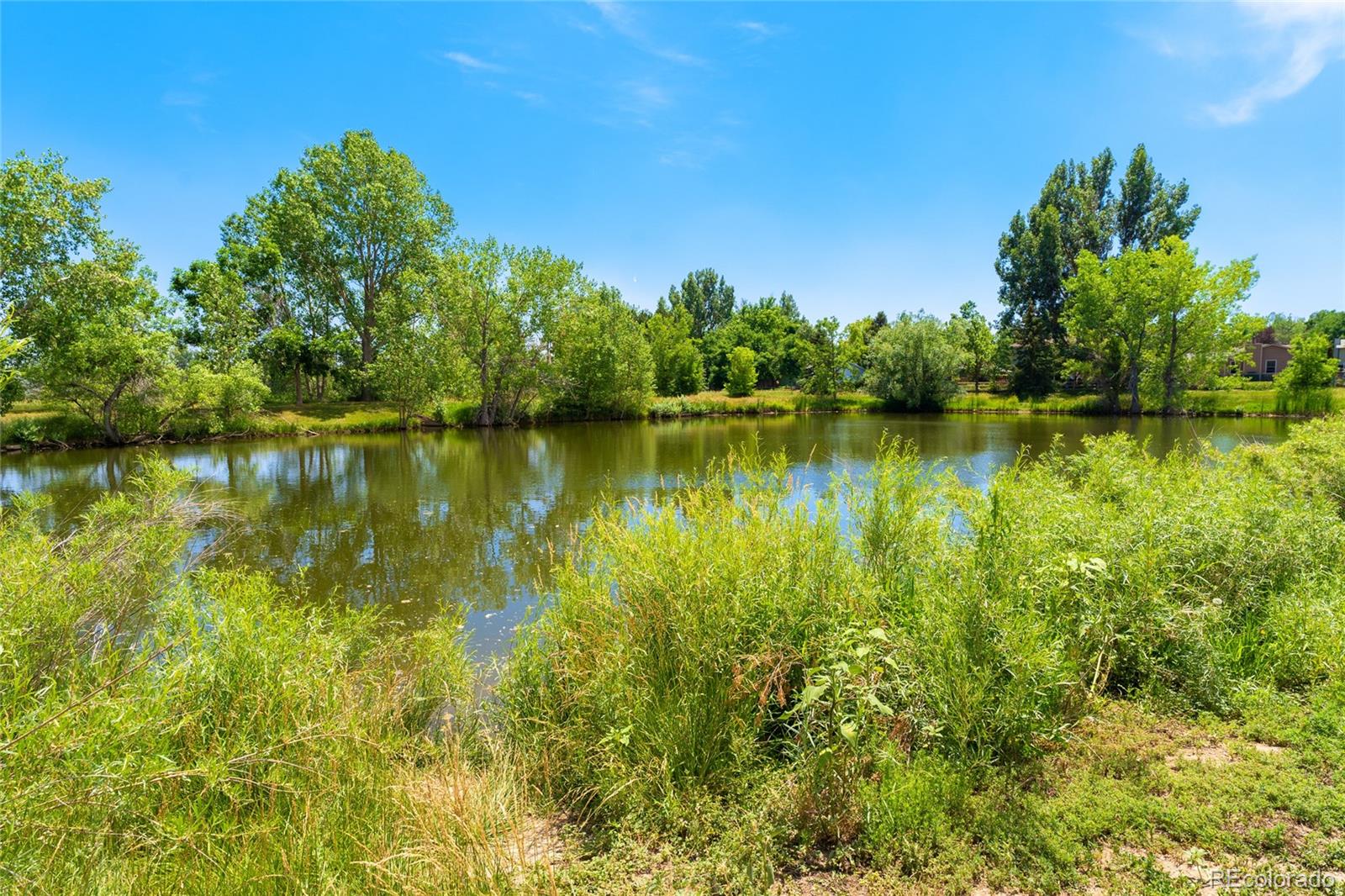 2739 Pleasant Valley Road Fort Collins, CO 80521 - Photo 29 of 32 Gallery Image 29