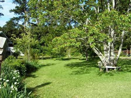 169 Collins Camp Road Winnfield, LA 71483 - Photo 4 of 12 Gallery Image 4