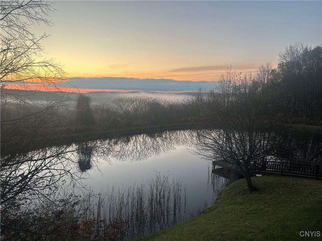2359 Sessions Hill Road Homer, NY 13077 - Photo 12 of 50 Sunrises