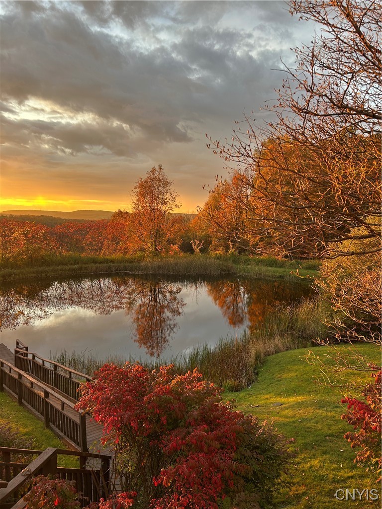 2359 Sessions Hill Road Homer, NY 13077 - Photo 13 of 50 Picture perfect