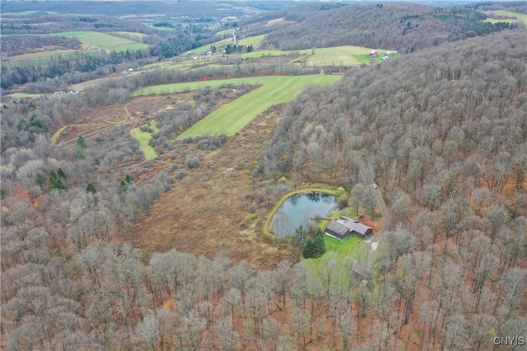 2359 Sessions Hill Road Homer, NY 13077 - Photo 7 of 50 Aerial of all the surrounding area