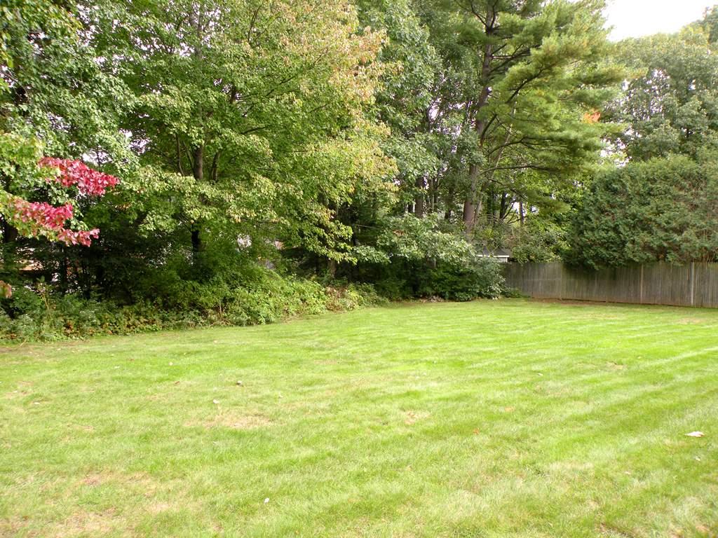 65 Roaring Brook Road Portland, ME 04103 - Photo 37 of 41 Large Backyard
