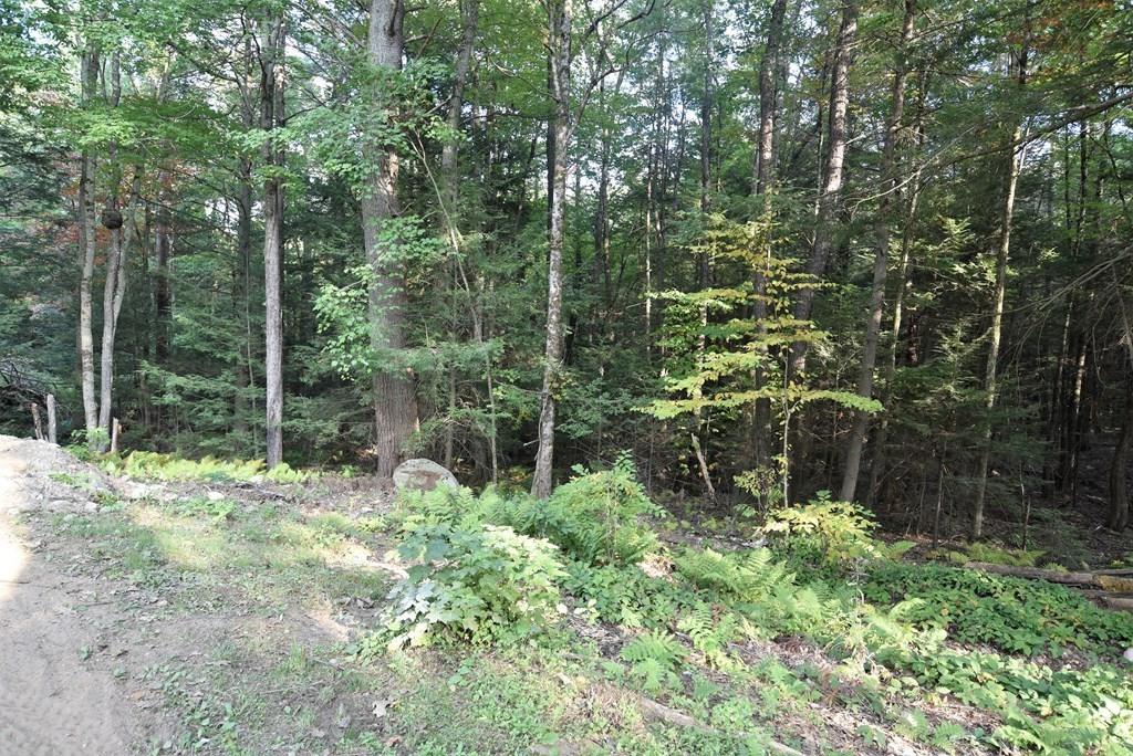 630 Royalston Road Phillipston, MA 01331 - Photo 17 of 20