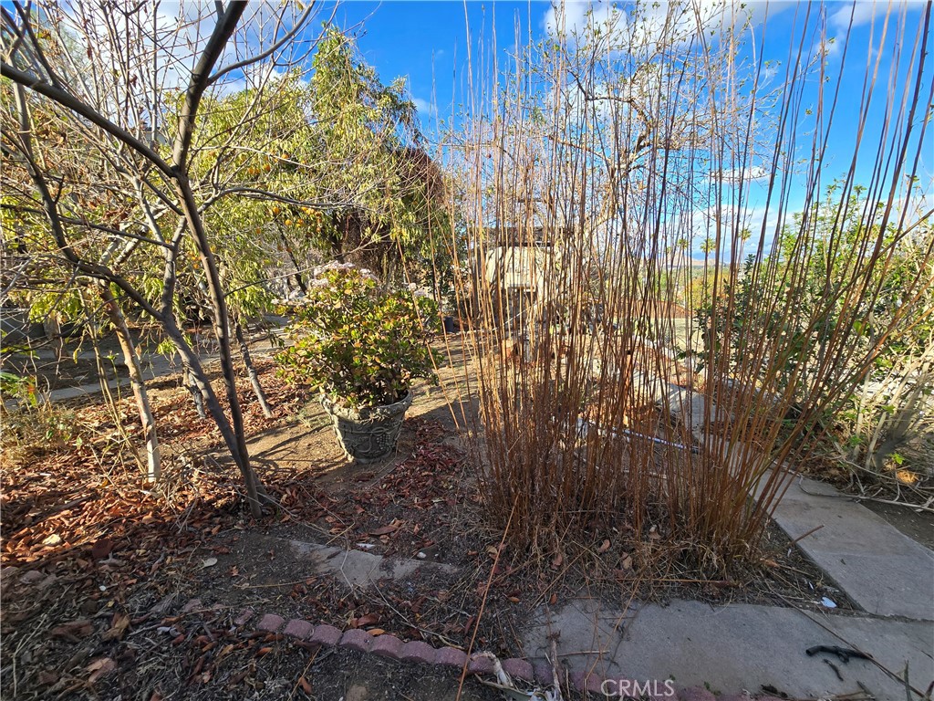 2789 Fairmount Boulevard Riverside, CA 92501 - Photo 58 of 74 a view of outdoor space and a yard