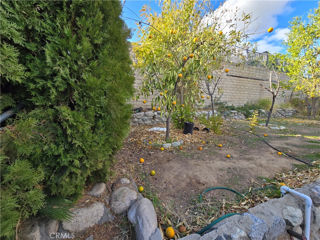 2789 Fairmount Boulevard Riverside, CA 92501 - Photo 69 of 74 a backyard of a house with lots of green space